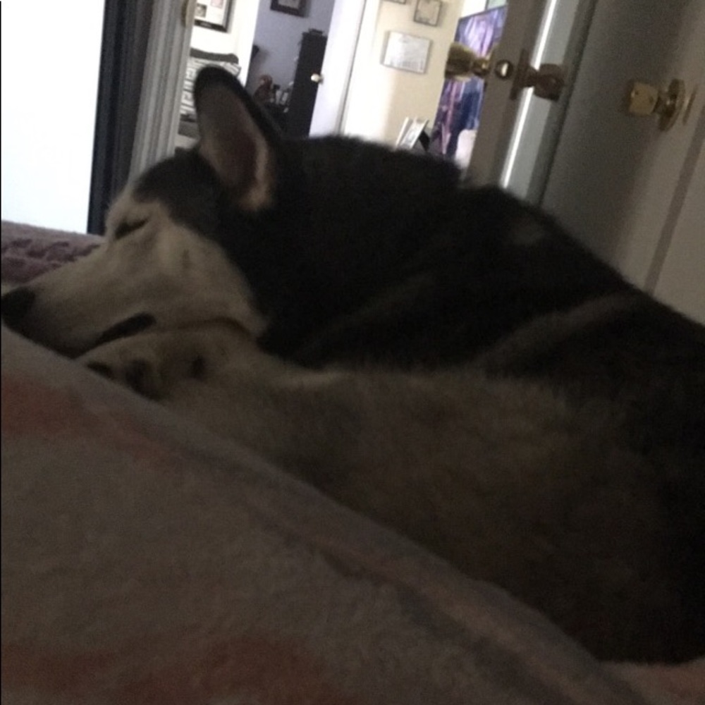 Meet your Posher, Abbi